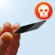 ������t�����K���X�ő��z���ώ@���Ă���l�q