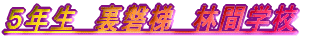 TN@֒@ъԊwZ